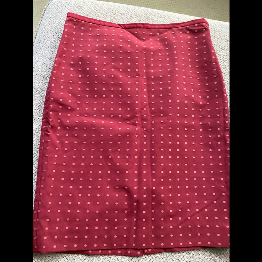 COPY - The Limited Pencil Skirt in very good condition